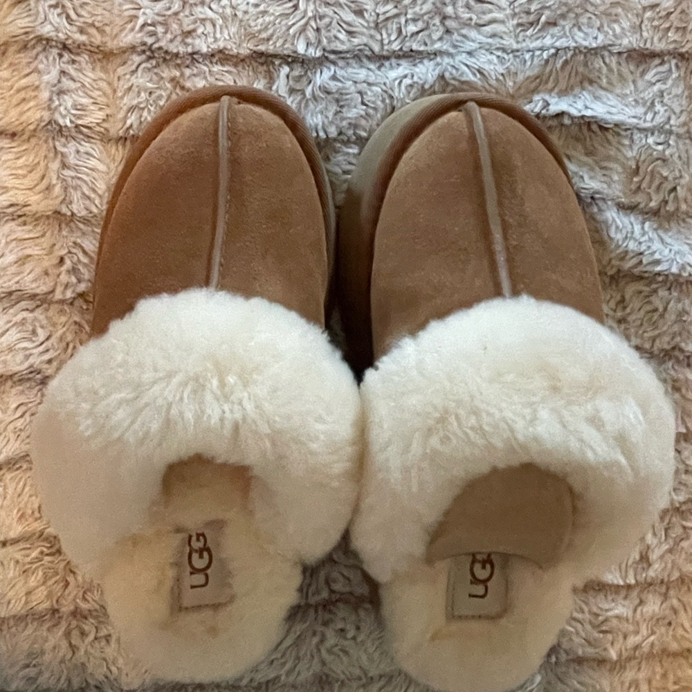 Disquette Uggs Chestnut Women’s size 5.